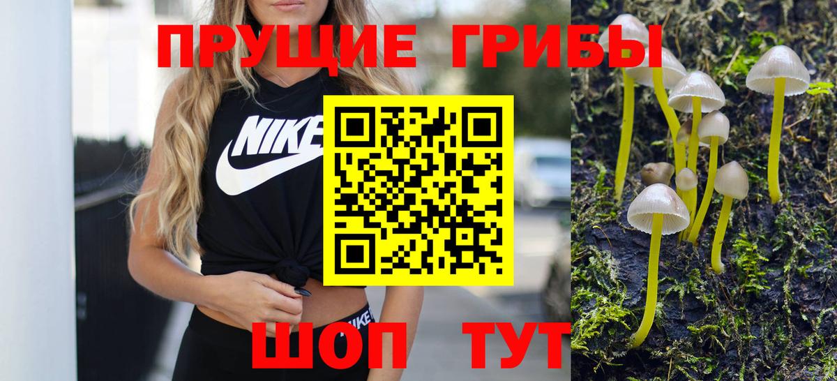 Псилоцибиновые грибы Psilocybine cubensis  Вход с VPN  Тобольск 